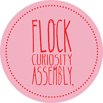 Flock Curiosity Assembly